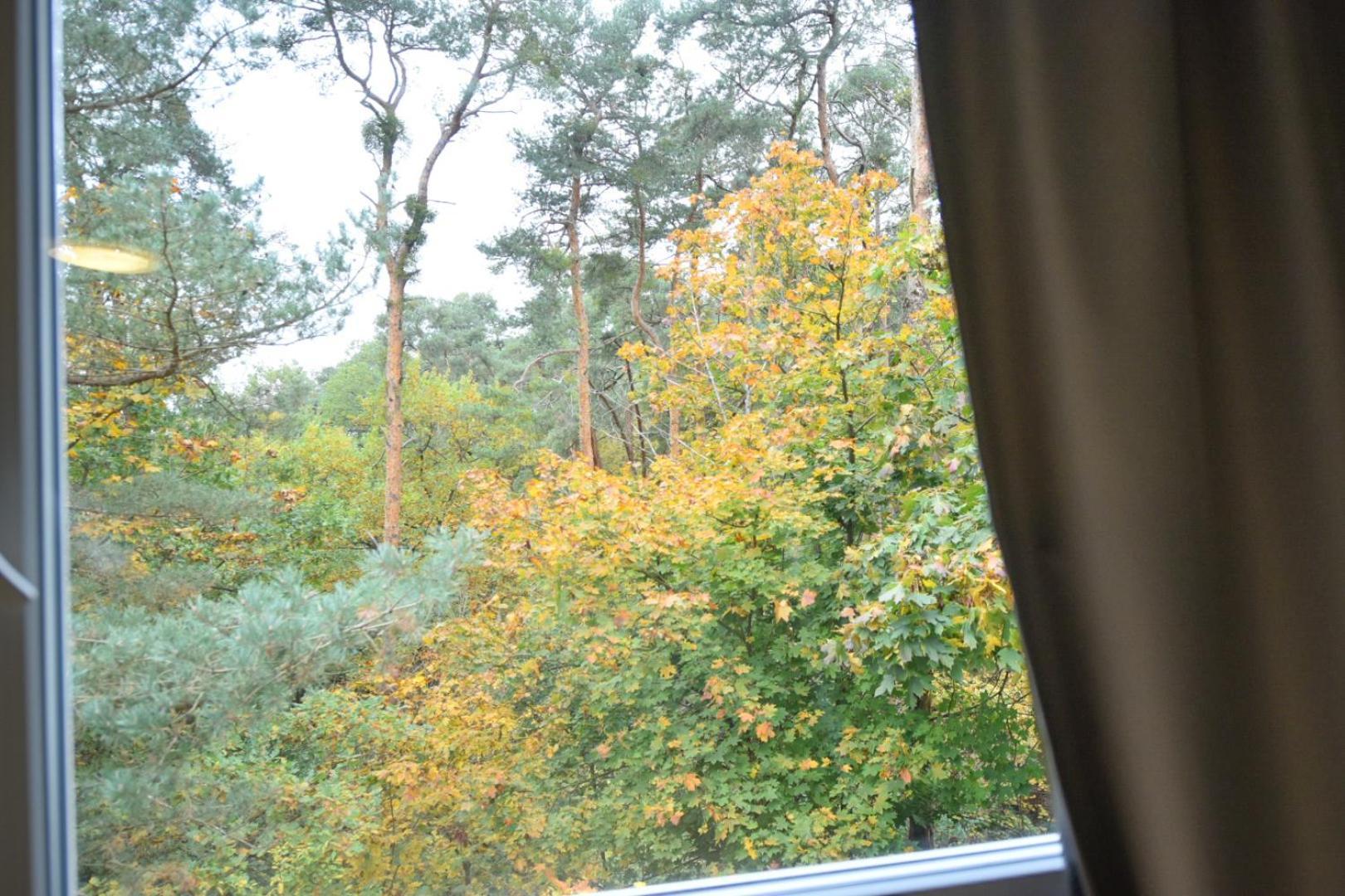Hotel Im Natur Mit Eigene Kueche Und Bad